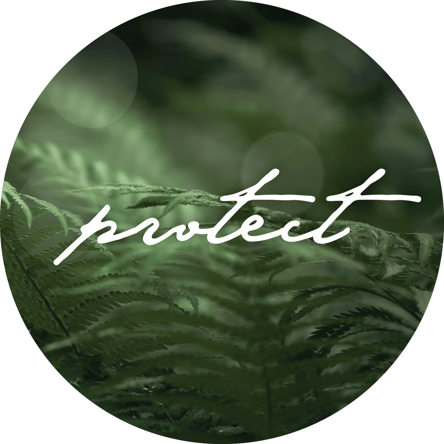 PROTECT